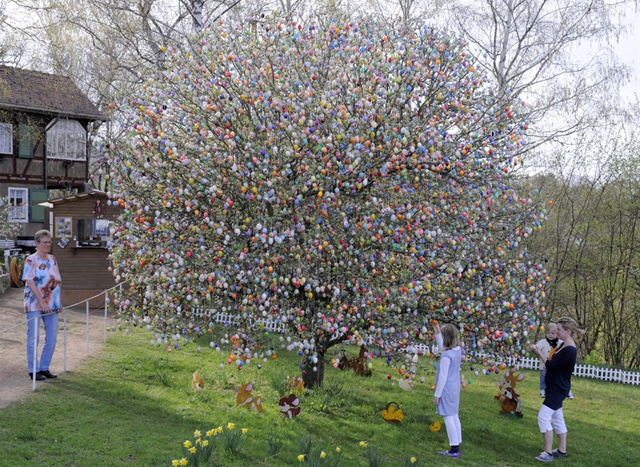 EggTree