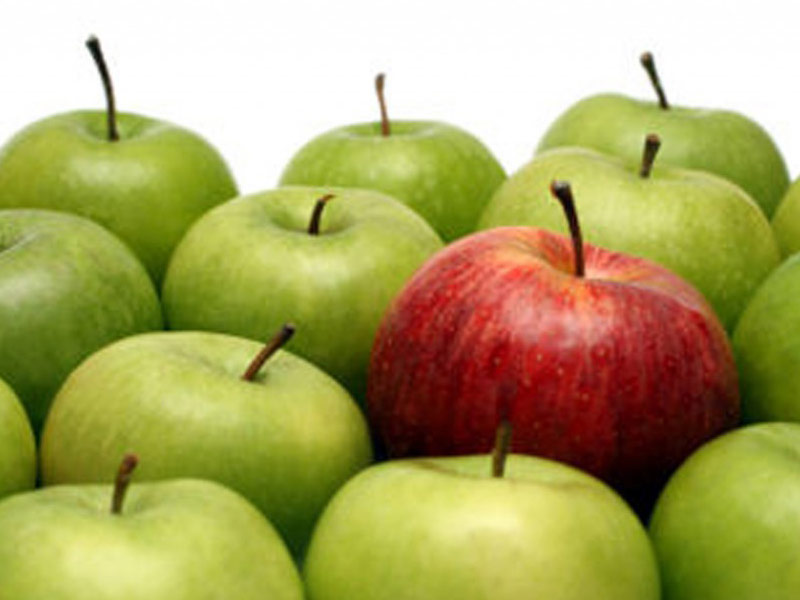 Apple-Cider-Vinegar-with-Pomeranians