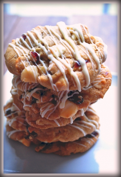 DSC_0019-resize(pp_w392_h574)