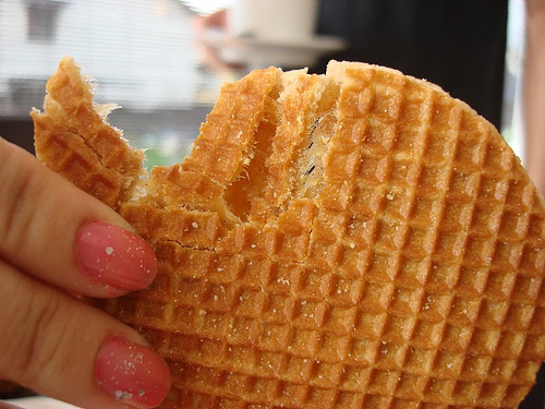 4042080382_77f9845f28