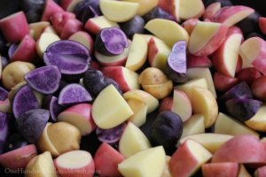 photo source: onehundreddollarsamonth