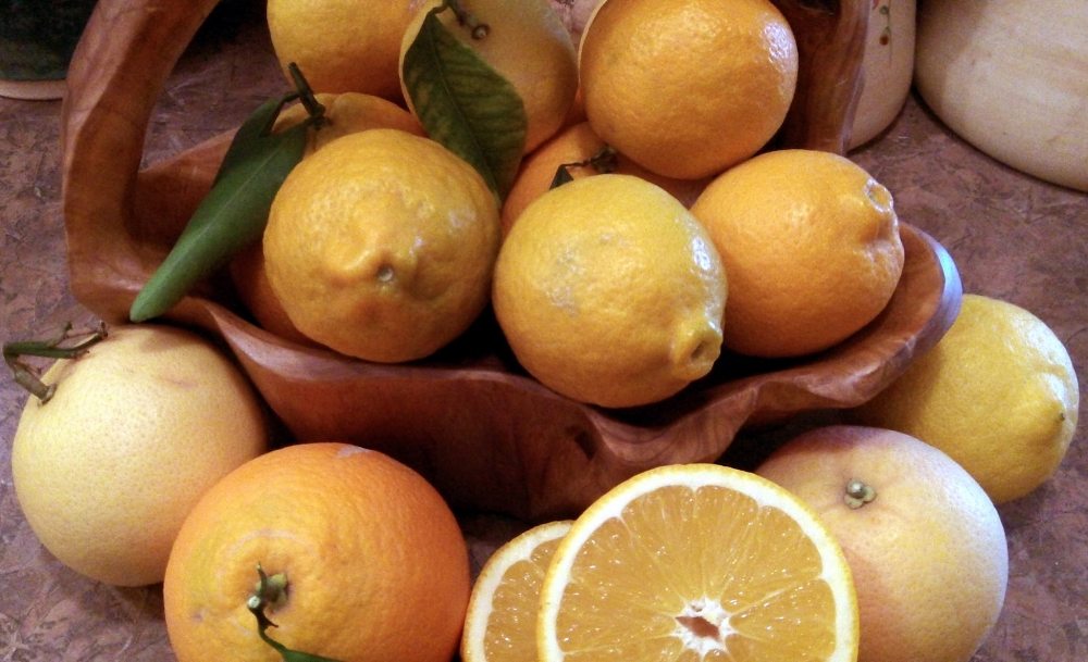 10818262_10205578748086460_7515998907747552150_o