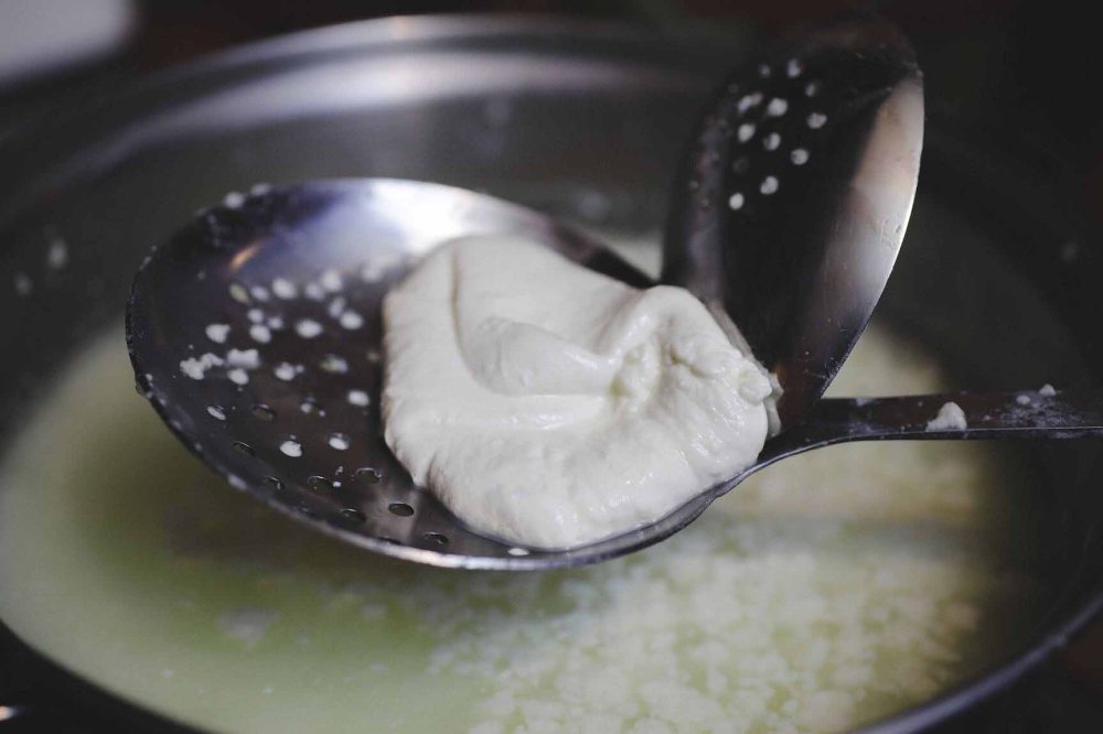 MTFEED_mozz_separatingcurdballs2