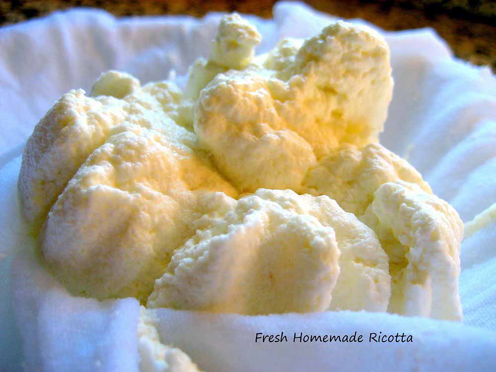 ricotta